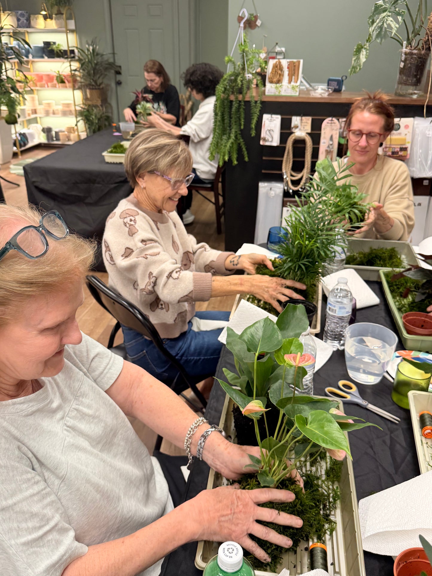 Kokedama Workshop 2/21/26