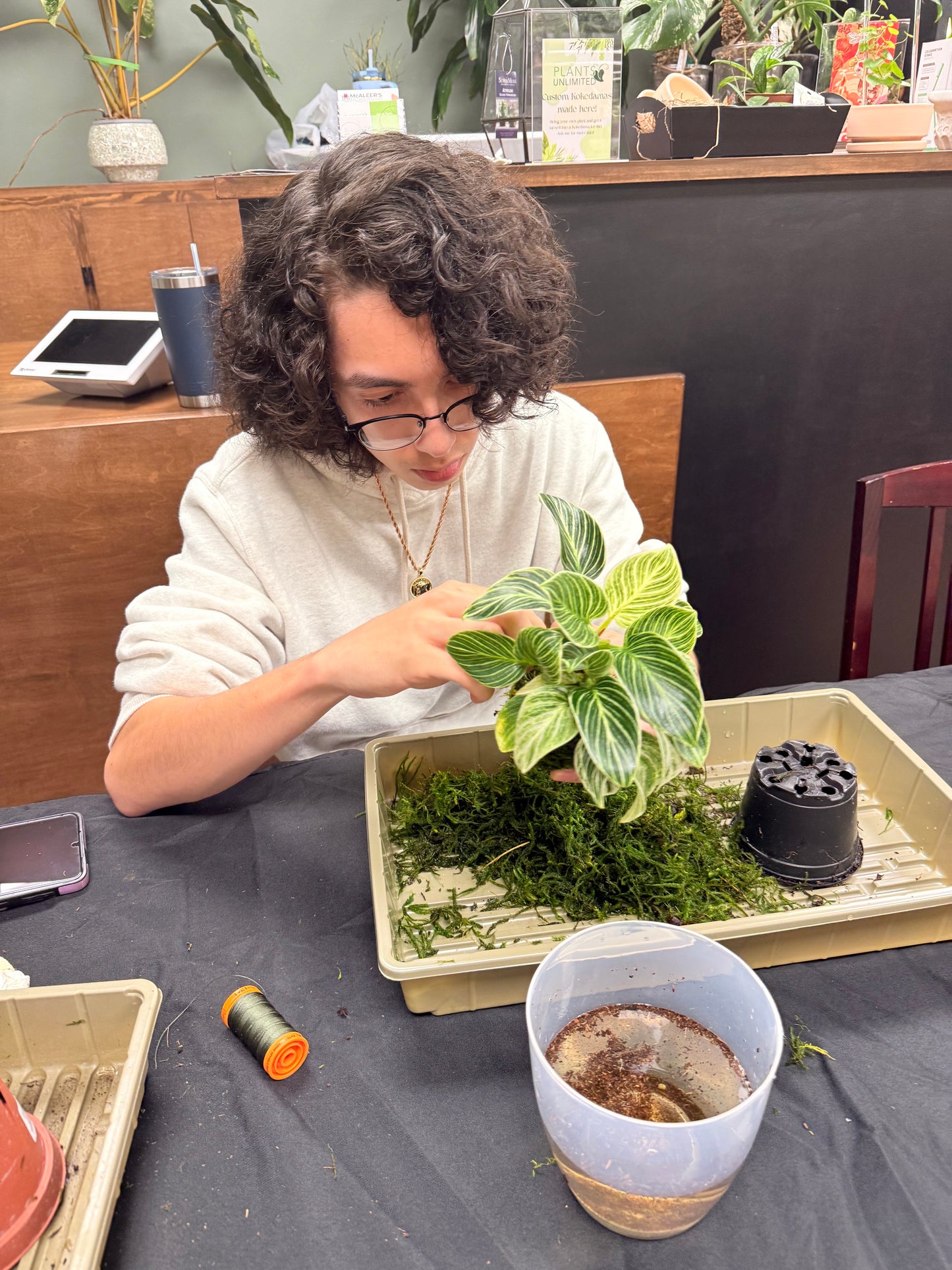 Kokedama Workshop 2/21/26