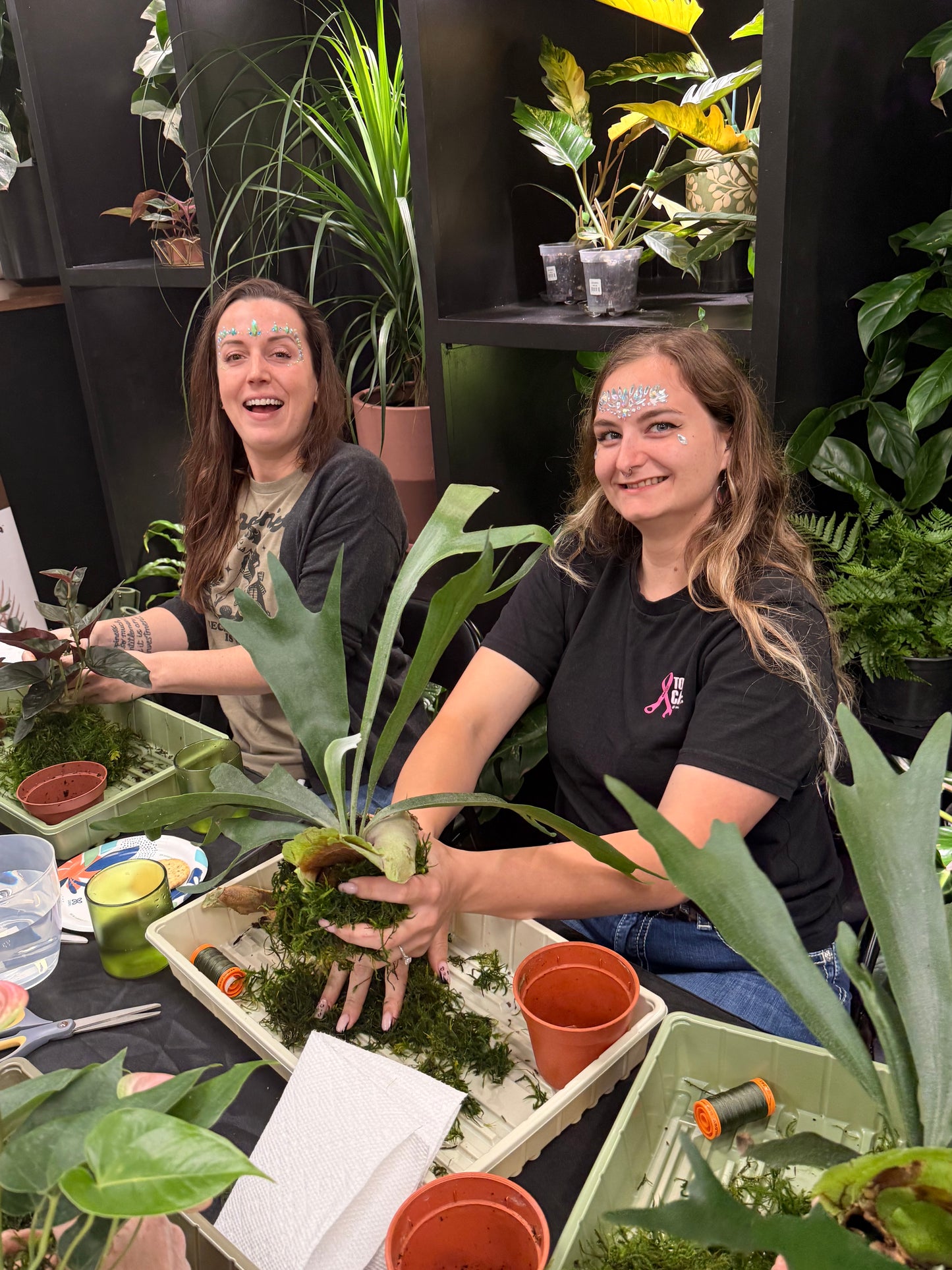 Kokedama Workshop 2/21/26