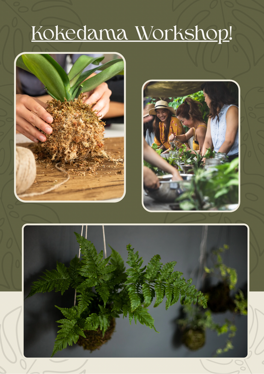 Ticket for Kokedama Workshop 11/15/25