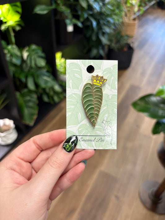 King Antherium Pin