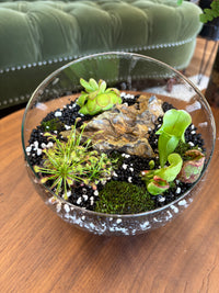 Carnivorous Bog Bowl Workshop