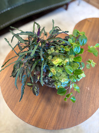 Foliage Bowl Workshop