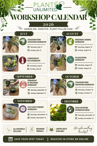 Staghorn Fern Mounting Workshop